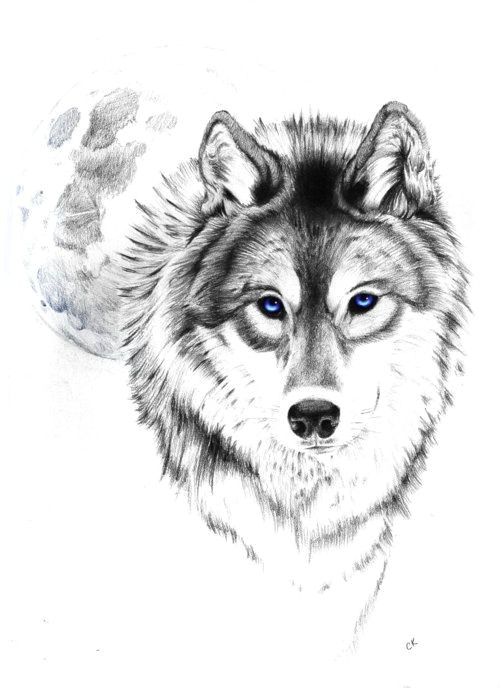 Drawing Of Wolf Face Wolf Tattoo Tumblr Love This Wolf and Moon Tattoooooo