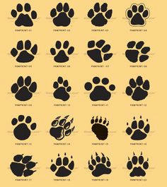 Drawing Of Wolf Paw Print Tiger Paw Prints Walking Drawing Cougar Paw Prints Cougar Paw