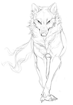 Drawing Of Wolf Walking 74 Best Wolf Drawing References Images Werewolf Drawings Wolves