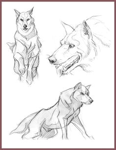 Drawing Of Wolf Walking Die 1063 Besten Bilder Von Wolfe Drawings Werewolf Und Wolves