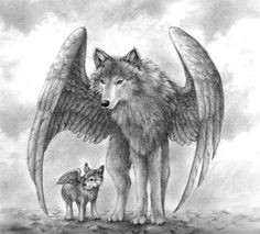 Drawing Of Wolf with Wings 88 Best Wolf with Wings Images Wolves Fantasy Art Fantasy Artwork
