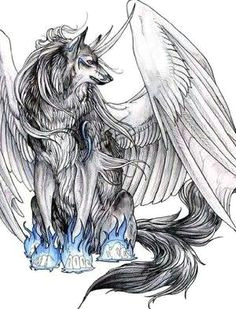Drawing Of Wolf with Wings Wolves with Wings