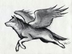Drawing Of Wolves with Wings 88 Best Wolf with Wings Images Wolves Fantasy Art Fantasy Artwork