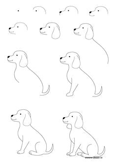 Drawing Of Your Dog 491 Best Draw Dogs Images In 2019 Drawings Animal Drawings Draw
