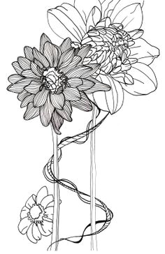 Drawing Of Zinnia Flower 1412 Nejlepa A Ch Obrazka Z Nasta Nky Flower Drawings Drawings