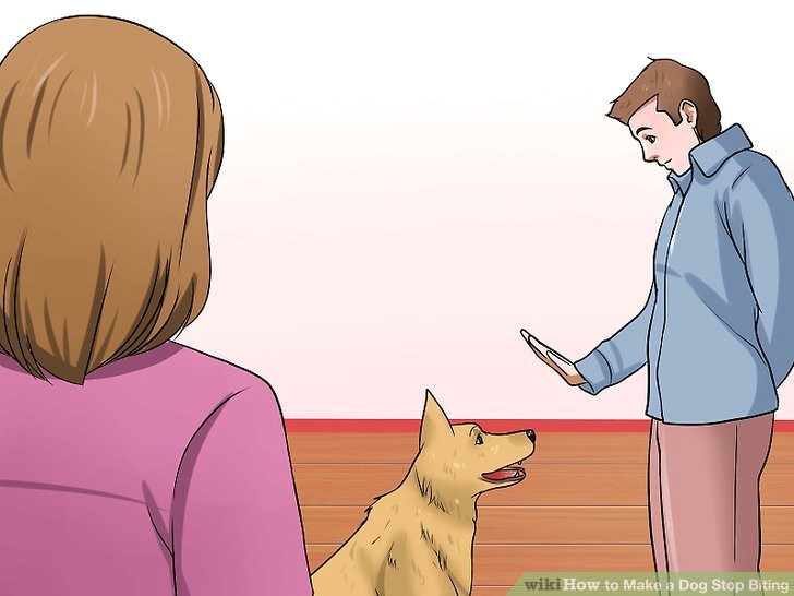 Drawing On Dog Bite Veterinarian Approved Advice On How to Make A Dog Stop Biting