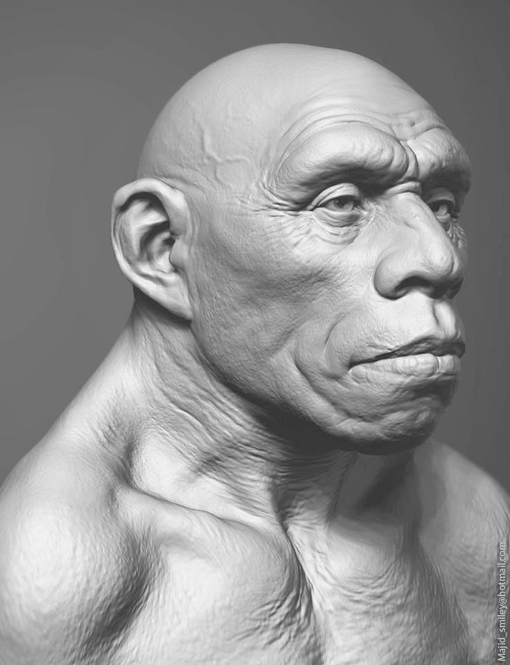 Drawing or Sculpting Marco Luna the Purpose Of This Gallery Its to Have References