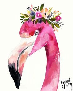 Drawing P Nk 195 Best Flamingo Drawings Images Flamingo Drawings Flamingos