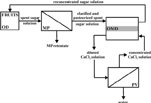 Drawing P-v Diagrams Mp Omd Pv Hybrid System for the Management Of Spent Sugar solution