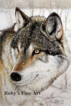 Drawing Pastel Wolf 1502 Best Wildlife Art Images In 2019 Animal Drawings Animal