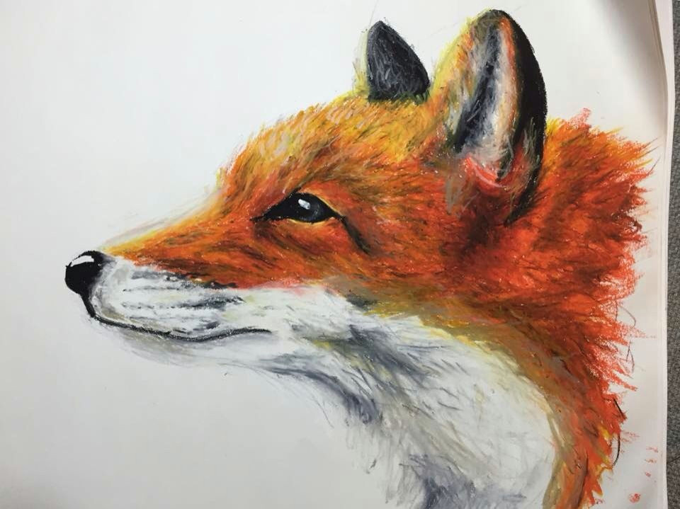 Drawing Pastel Wolf Oil Pastels Fox Drawing Art In 2019 Oil Pastel Art Pastel Art