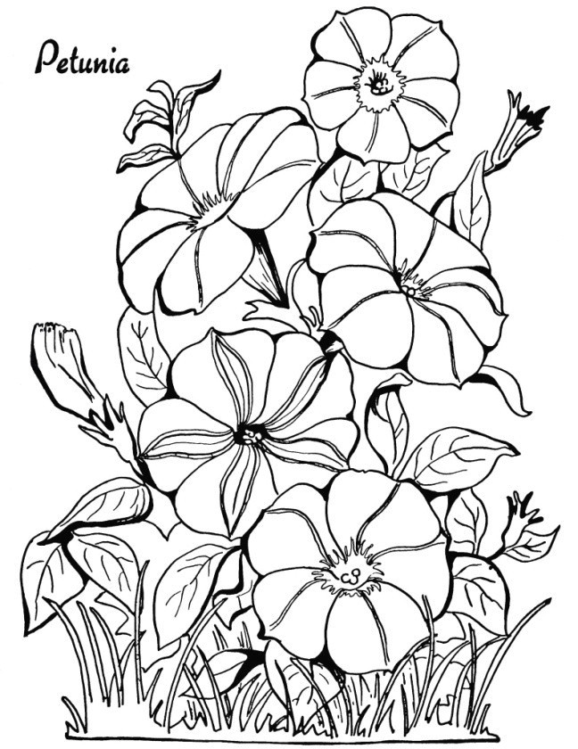 Drawing Picture Of Flower Vase Drawing Of Flowers Step by Step together with Fresh Free Relaxing