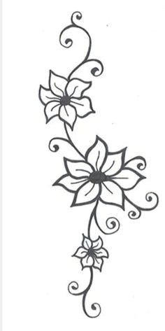 Drawing Picture Of Jasmine Flower 21 Best Simple Jasmine Flower Tattoo Tumblr Images Tatoos Ink