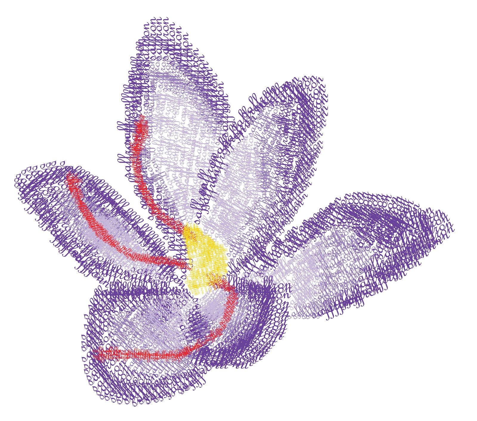 Drawing Picture Of Jasmine Flower Jasmine Vanilla Saffron Flower Type Drawing and Fruit