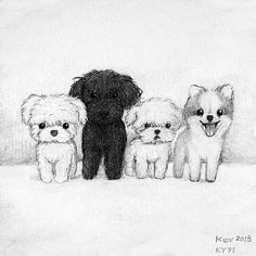 Drawing Pictures Of Cute Dogs 120 Best Drawing Dog Images Cute Drawings Kawaii Drawings Doggies