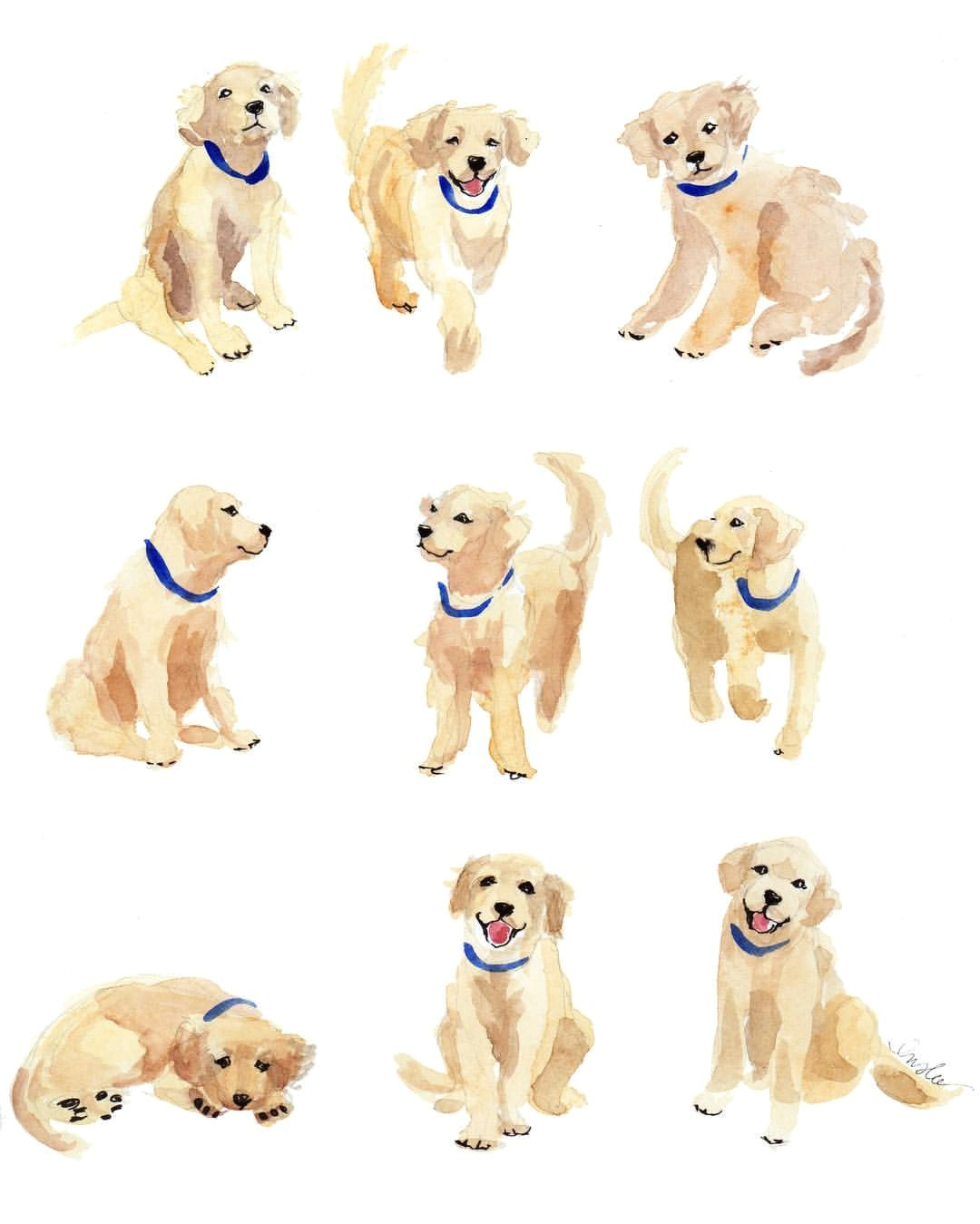 Drawing Pictures Of Cute Dogs Puppies Inslee Haynes Animal Character Design Pinterest Art