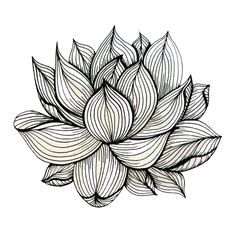 Drawing Pictures Of Flowers Lotus 38 Best Lotus Drawing Images Lotus Flower Silk Painting Chinese Art