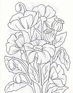 Drawing Pictures Of Flowers with Names 215 Best Flower Sketch Images Images Flower Designs Drawing S