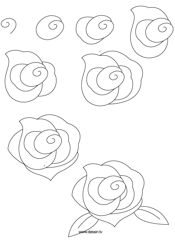 Drawing Pictures Of Rose Flowers Step by Step 100 Best How to Draw Tutorials Flowers Images Drawing Techniques