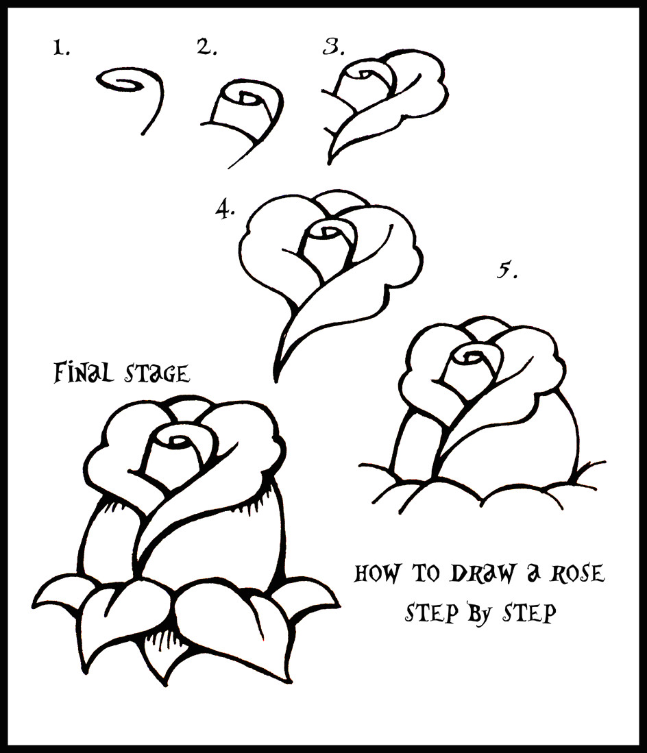 Drawing Pictures Of Rose Flowers Step by Step How to Draw A Rose Dr Odd