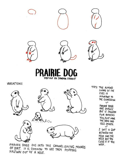Drawing Prairie Dogs Life Imitates Doodles Prairie Dog Fantasy Landscape Step Out
