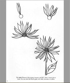 Drawing Quick Flowers 361 Best Drawing Flowers Images Drawings Drawing Techniques