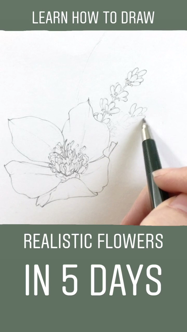 Drawing Quickly Learn How to Draw Realistic Flowers In Less Than One Week Join Me