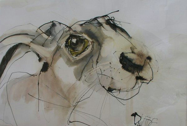 Drawing Rabbit Eyes Hare Eyed Pen and Ink and Watercolour by Valerie Davide Valerie