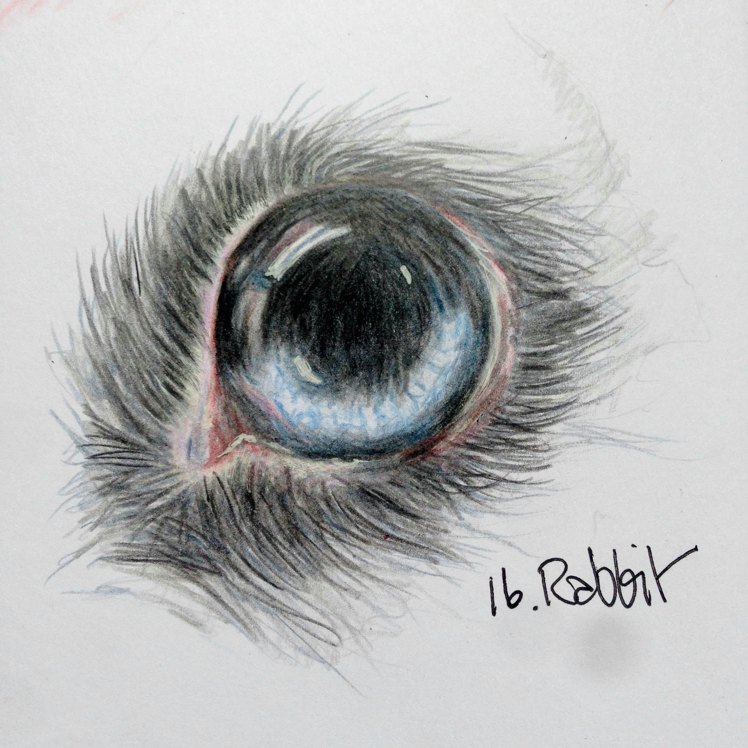 Drawing Rabbit Eyes Rabbit Eye by Bloowabbit Doodle Eye Challenge From Sea Lemon