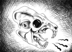 Drawing Rat Skull 36 Best Rat Skull Tattoo Images Rats Skull Tattoos Sugar Skull
