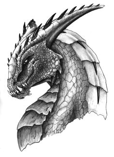 Drawing Realistic Dragons 216 Best Dragons for Carving Images Pencil Drawings Dragon Sketch