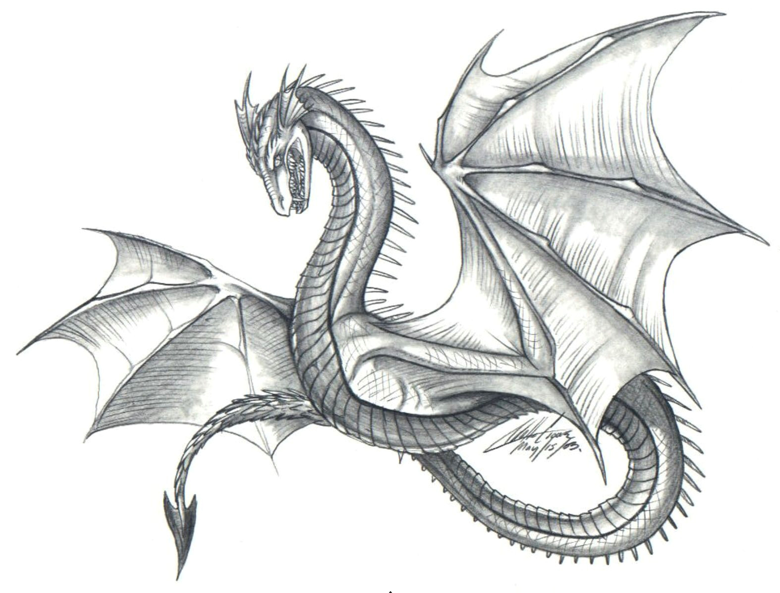 Drawing Realistic Dragons Easy Dragon Things to Draw Dragon Dragon Sketch Drawings