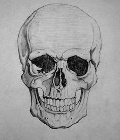 Drawing Realistic Skulls 19 Best Skull Sketches Images Skull Tattoos Tattoo Drawings Sketches