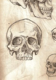 Drawing Realistic Skulls Realistic Skull Drawing Realistic Skull Drawing How to Draw A Skull