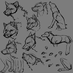 Drawing Reference Wolf 109 Best Wolf Images Wolf Drawings Art Drawings Draw Animals