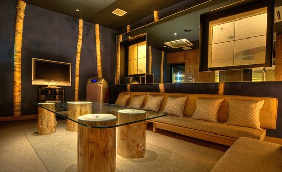 Drawing Room Karaoke Private Karaoke Room Picture Of Ezo Niseko Cho Tripadvisor