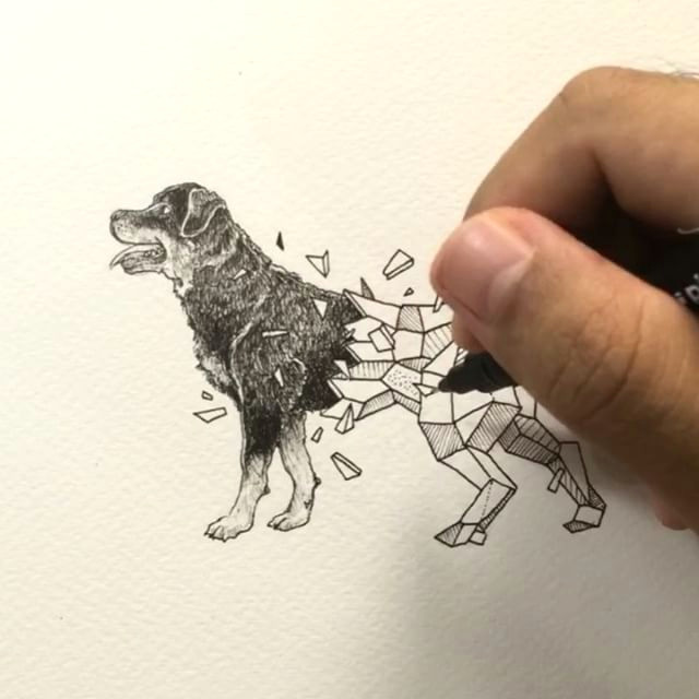 Drawing Rottweiler Dog Geometric Beasts Rottweiler Inking Process Coloring Pinterest