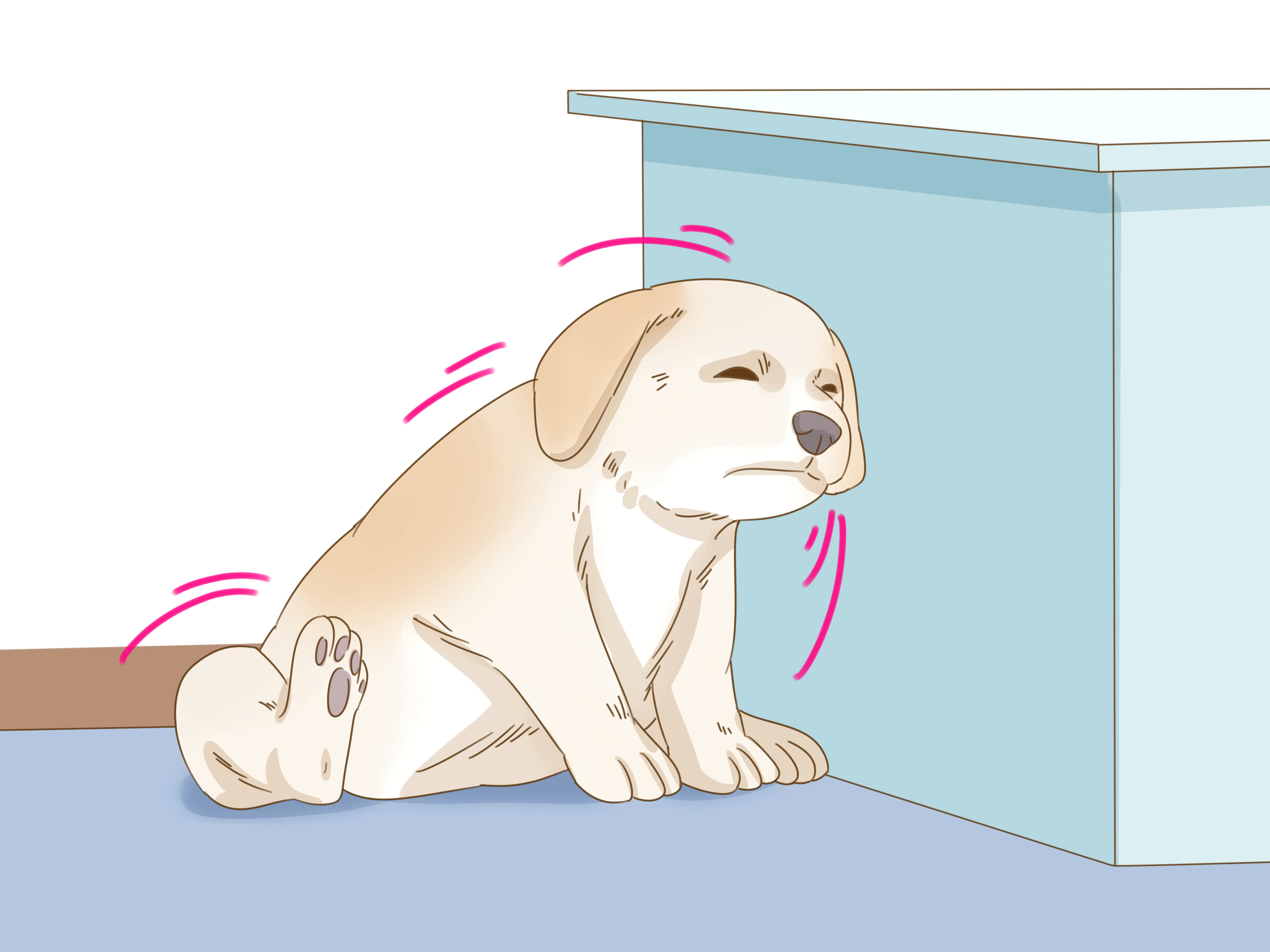 Drawing Salve Dogs 3 Ways to Treat Seasonal Allergies In Dogs Home Remedies