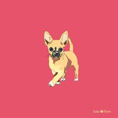 Drawing Salve Dogs 35 Best the Doggo Collection Images On Pinterest Affair All Dogs