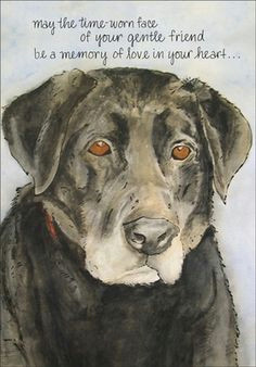 Drawing Salve for Dogs 11 Best Grief Pet Loss Images Loss Of Pet Pet Grief Pet Loss
