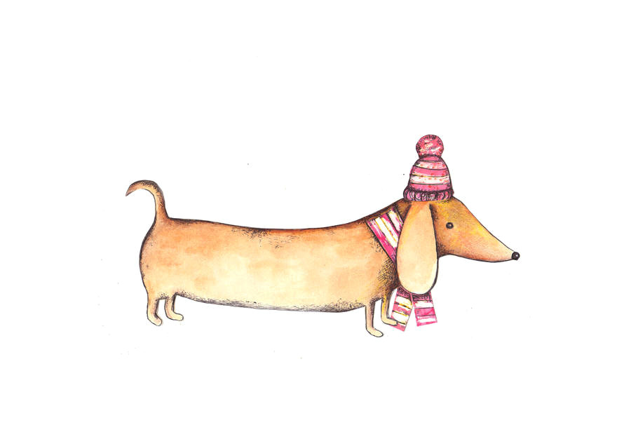Drawing Sausage Dogs Doris the Daschund Fine Art Print by Mary S House Designs