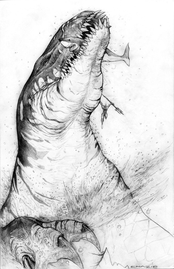 Drawing Sea Dragons Sea Dragon the Leviathan by Chuckwalton Deviantart Com On