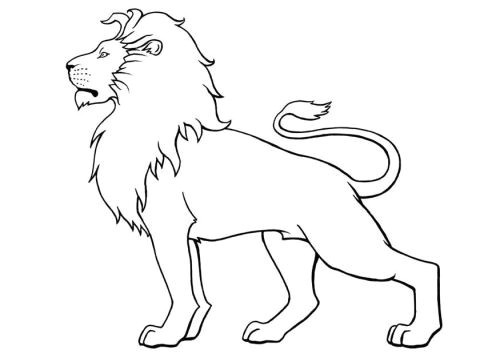Drawing Simple Cartoon Lion the Outline Of A Lion with A Quote or something Going Through It