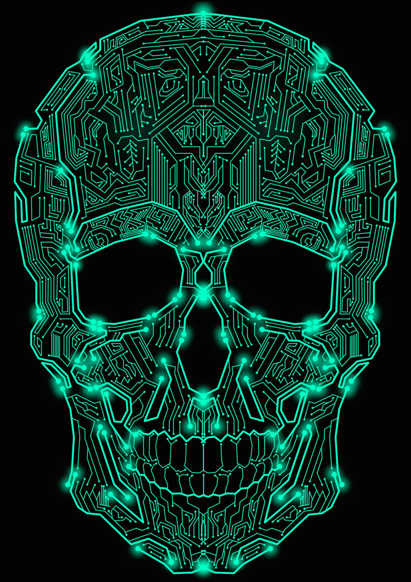 Drawing Skull and Crossbones Circuit Skull My Obsession In 2019 Pinterest Skull Circuit