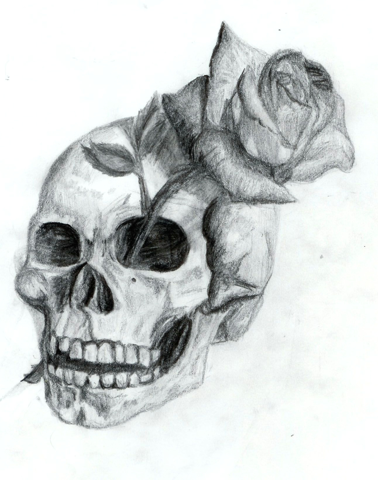 Drawing Skull Black and White Skull and Rose by Dyslogistic On Deviantart Skull Art Draw