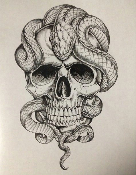 Drawing Skull Crawler On Left Shoulder Poojan Tattoos Snake Tattoo Skull Tattoos