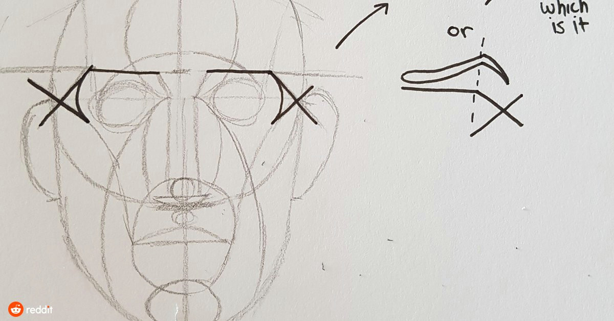 Drawing Skull Reddit Having Difficulty Understanding where the Brow Should Be Placed