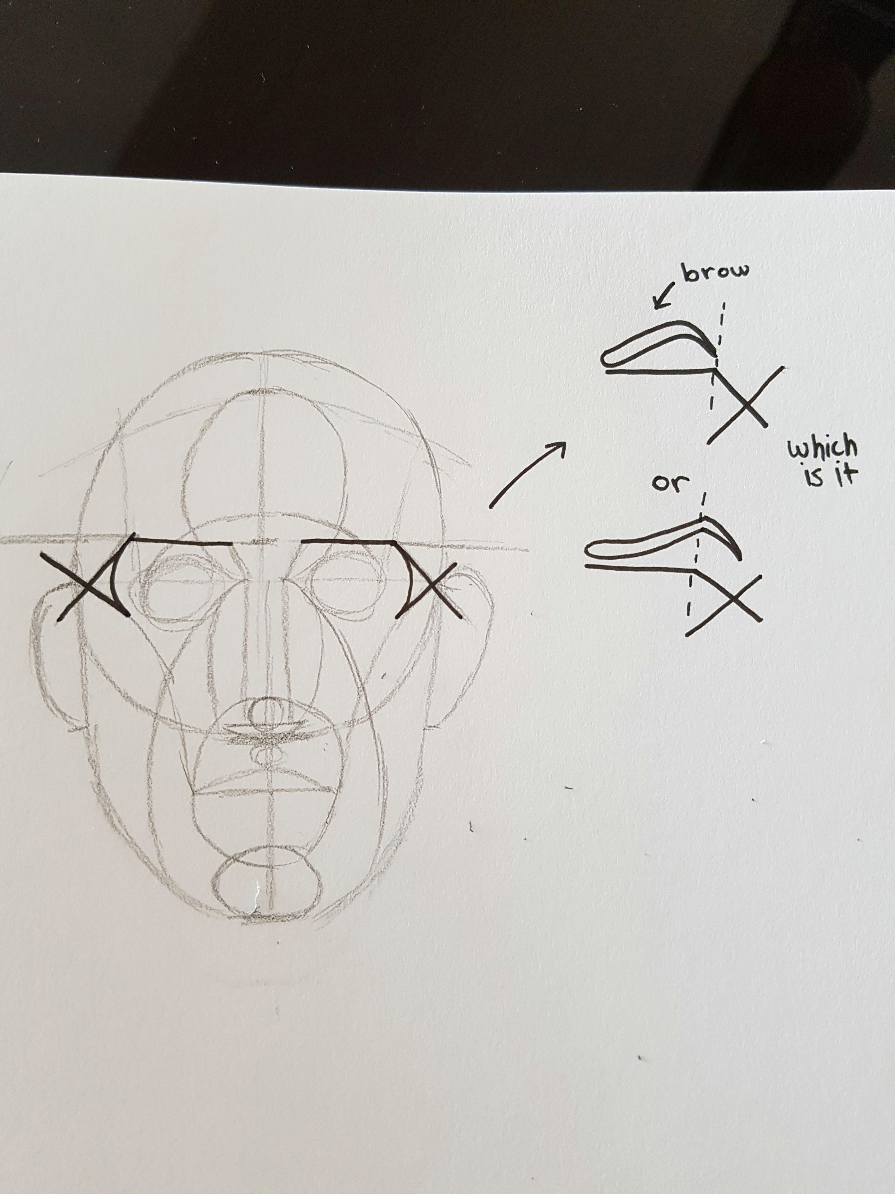 Drawing Skull Reddit Having Difficulty Understanding where the Brow Should Be Placed