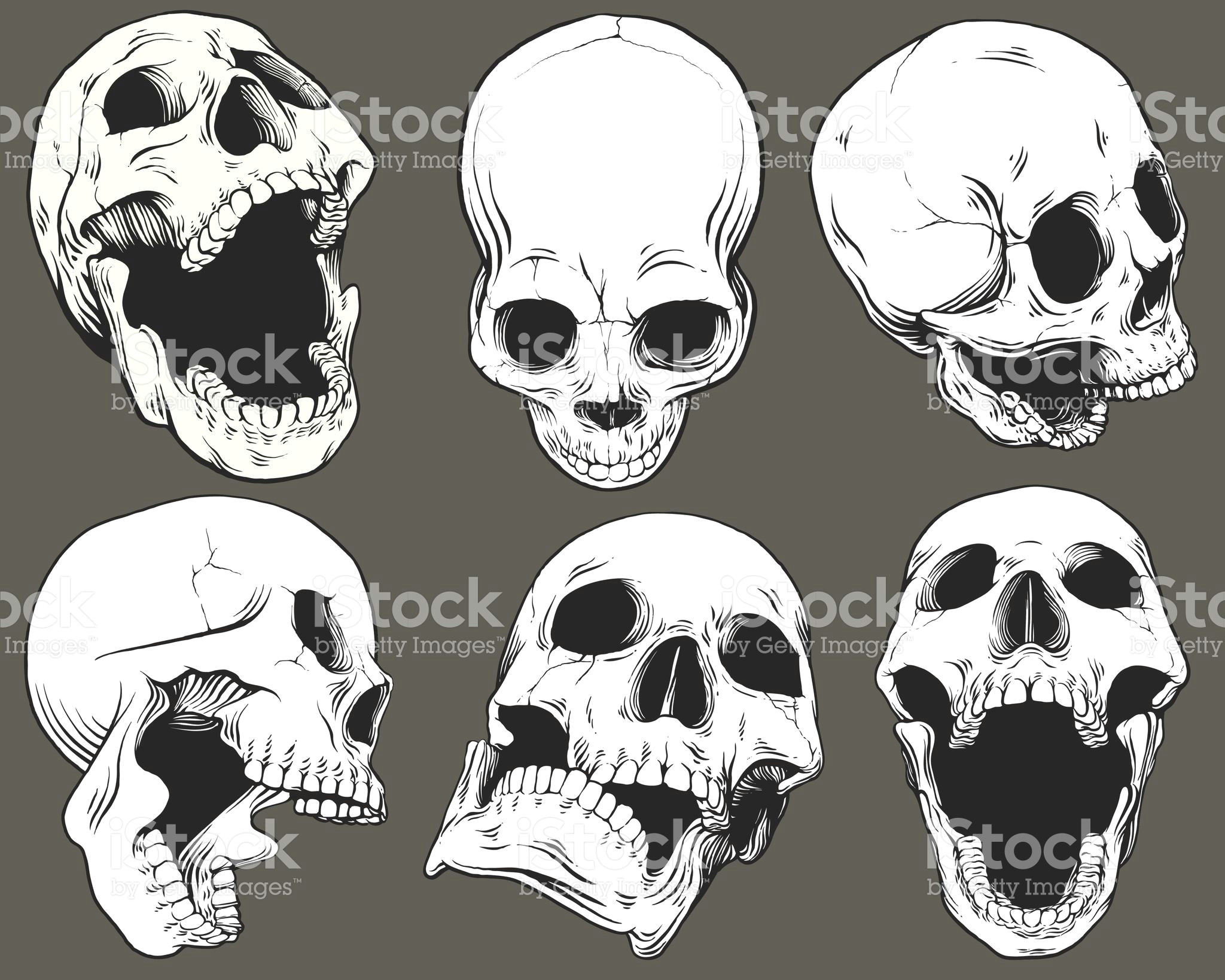 Drawing Skull Reference Collection Of Six Vector isolated Black and White Skulls Shown From