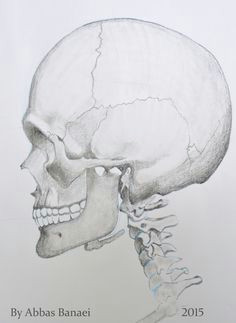 Drawing Skull Side View 20 Best Drawing Images Draw Drawing S Drawings